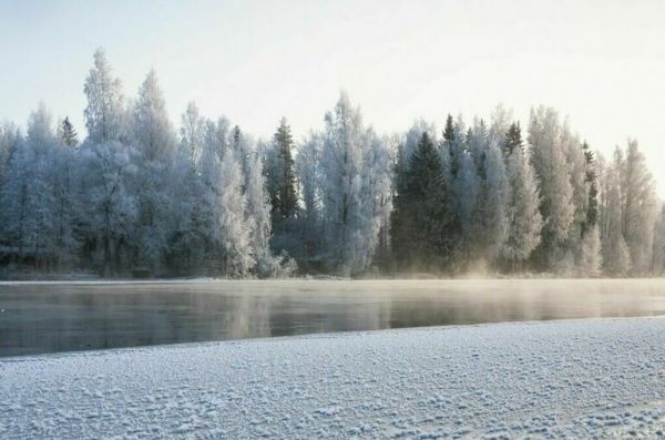 В Ярославской области нашли тело брата основателя группы Cream Soda