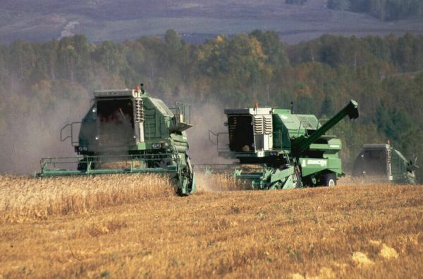 Чаплин напомнил, как хотят поддержать мобилизованных фермеров