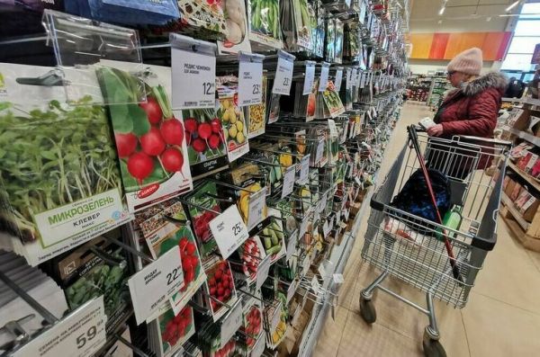 Госдума приняла закон о господдержке отечественного семеноводства