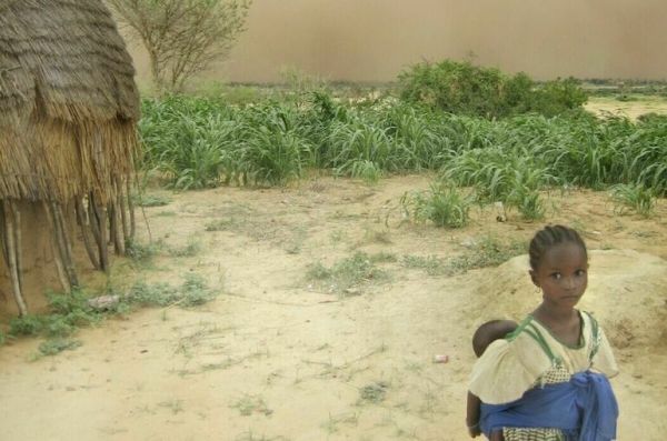 Делегация ECOWAS прибыла в Нигер для урегулирования конфликта