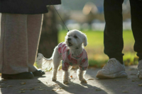 Депутат предложил обязать власти регионов строить спорткомплексы в селах