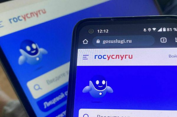 Двухфакторную аутентификацию на госуслугах подключил каждый пятый россиянин