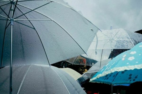 Синоптик спрогнозировал в Москве ливни и порывистый ветер 23 августа