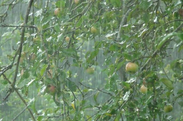 В МЧС не исключили сбоя систем жизнеобеспечения Сибири и Дальнего Востока из-за непогоды