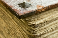 В МИД РФ ввели должность посла по особым поручениям по преступлениям Украины