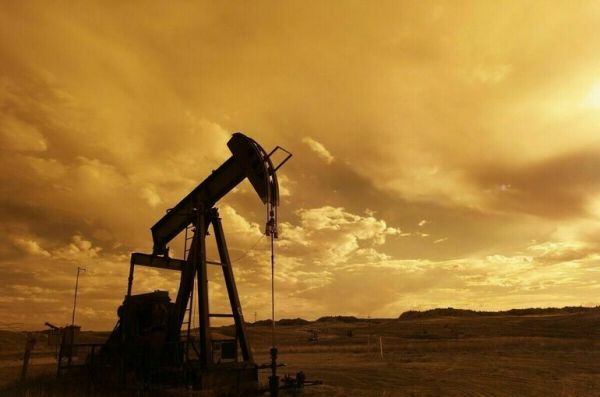 В Нигере видят в России партнера для реализации нефтяных и урановых проектов