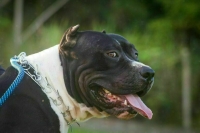 Сенаторы обсудили развитие медпомощи в Воронежской и Липецкой областях