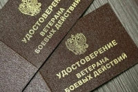 Совфед отложил решение о назначении главы СП до принятия бюджета на 2024 год