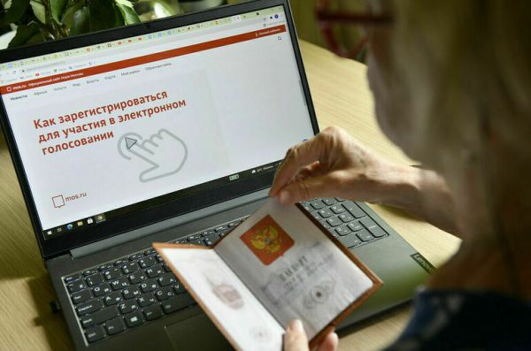 Замглавы Минцифры рассказал, какой пол чаще выбирает онлайн-голосование