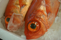 Безпалько считает, что победа правящей партии не сулит Польше ничего хорошего