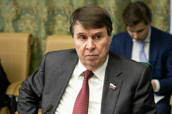 Цеков заявил, что Финляндия нарушает права человека, отбирая имущество россиян