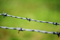 Чепа призвал потребовать открытого расследования ЧП на Balticconnector Чепа призвал потребовать открытого расследования ЧП на Balticconnector