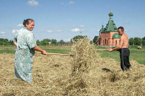 Работники сельского хозяйства 8 октября отмечают профессиональный праздник