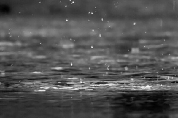 В Москве за трое суток выпала почти треть месячной нормы осадков