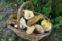 Вашингтон ввел санкции за нарушение ценовых ограничений по продаже нефти РФ