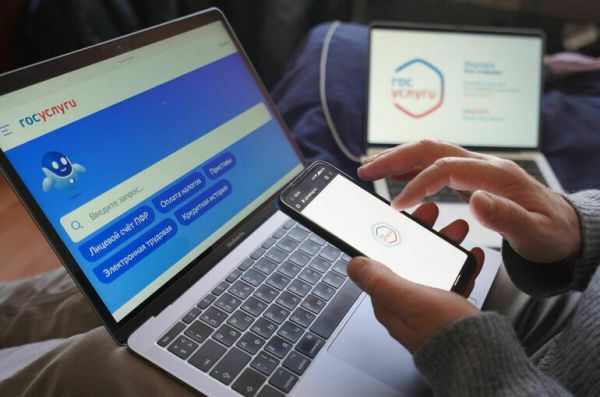 На &laquo;Госуслугах&raquo; появится раздел с мерами поддержки участников СВО