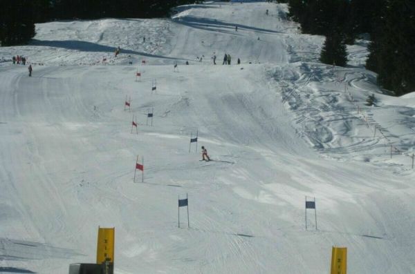 В Минспорте пообещали разобраться в инциденте с травмированием лыжниц в Сочи