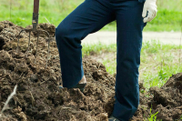 Для попавших в трудную ситуацию предложили ввести социальную карту &laquo;Помощь&raquo;