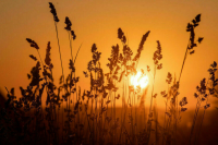 Путин поручил разработать дополнительные меры поддержки аграриев