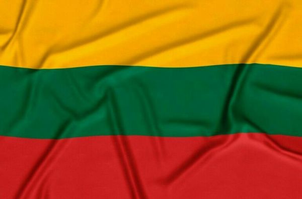 Действующий президент Науседа победил в первом туре выборов в Литве