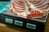 На &laquo;Госуслугах&raquo; предложили создать раздел для знакомств