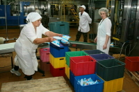 Права временных работников хотят защитить Трудовым кодексом Права временных работников хотят защитить Трудовым кодексом