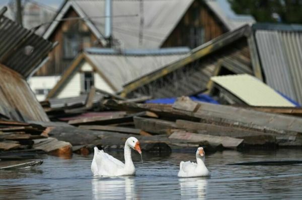 Право на землю потерявшим жилье в ЧС хотят сделать безусловным
