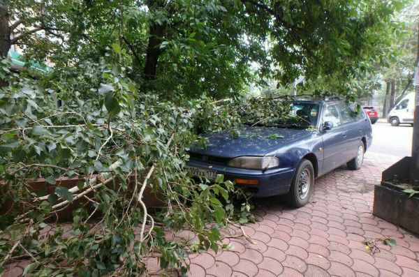 Число пострадавших из-за урагана в Москве выросло до 35