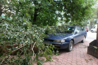 Москвичам спрогнозировали умеренно теплую погоду до конца июня