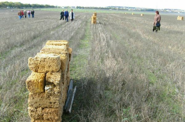 В Комитете Госдумы поддержали проект о сроке освоения дачных участков ко II чтению