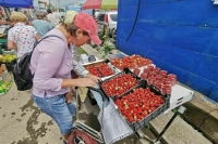 В Минфине назвали предложение по ставке НДФЛ в 22% сбалансированным