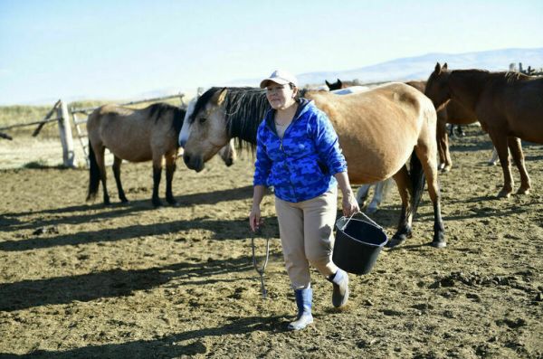 Госдума приняла закон о создании агроагрегаторов