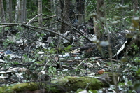 Комитет Совфеда поддержал проект закона о религиозной символике на брендах