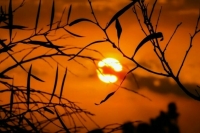 Размер надписи о вреде на энергетиках предлагают сделать больше