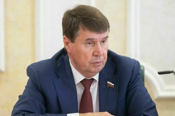 Сенатор Цеков объяснил, почему Киев не возьмет вину за подрыв &laquo;Северных потоков&raquo;