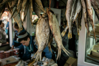 Сенатор Двойных: Запасы рыбы в регионах России оценят дополнительно