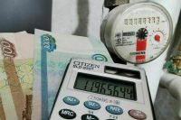 Сенатор Епифанова назвала главный приоритет бюджета России 