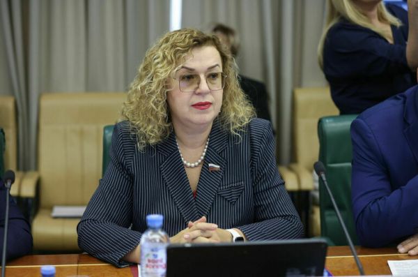 Сенатор Епифанова назвала категории россиян с правом на две пенсии