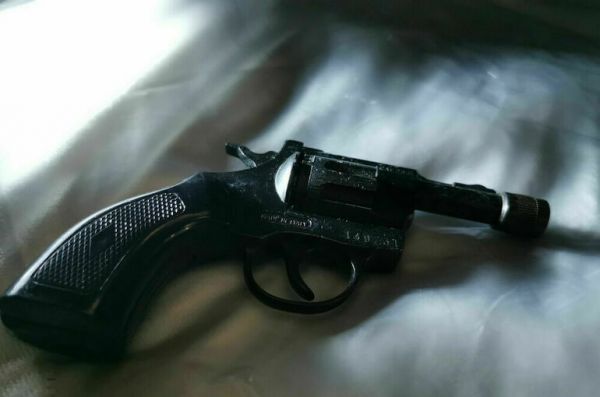 В Госдуму внесли поправки об ограничении покупки оружия