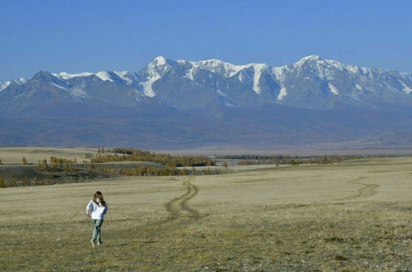 В правительстве Алтайского края предложили усовершенствовать туристический налог