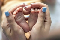 Вычисление проектной площади земельных участков предложили упростить