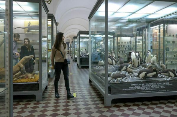 Финансирование проекта &laquo;Пушкинская карта&raquo; в 2026 году увеличится почти вдвое