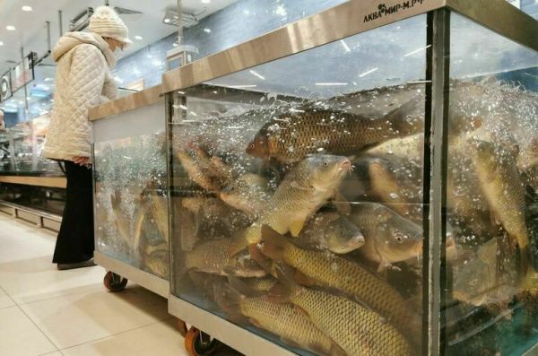 Рыбоводные хозяйства предложили разрешить размещать на неиспользуемых ГТС Рыбоводные хозяйства предложили разрешить размещать на неиспользуемых ГТС