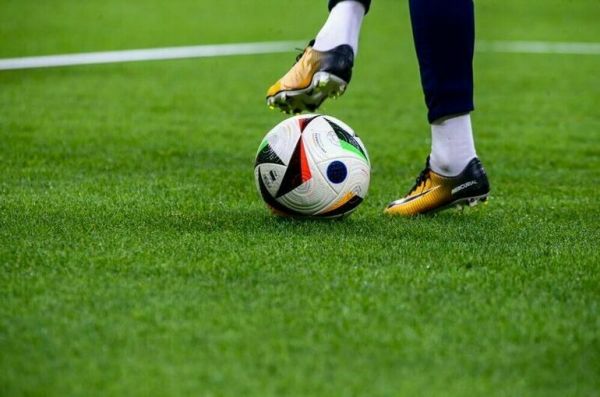 В Петербурге в &laquo;Кубке Лаврова и Семенова&raquo; приняли участие 20 команд