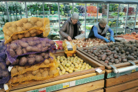 Депутат Бутина объяснила, почему США перестали искать &laquo;русский след&raquo; в выборах