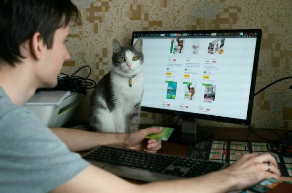 Депутат Чаплин напомнил об уловках мошенников в &laquo;черную пятницу&raquo;