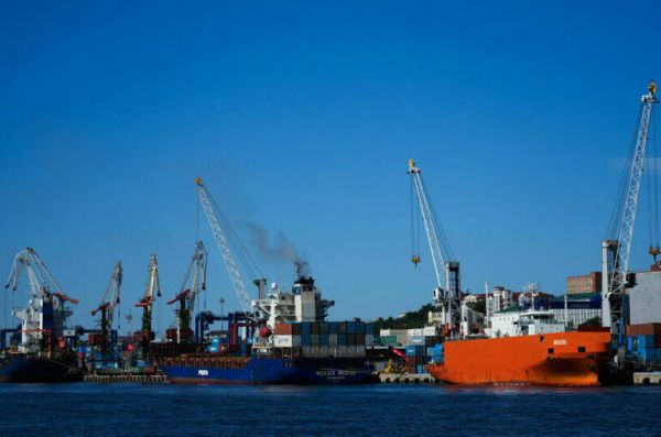 Эффективность работы свободного порта Владивосток оценят по пяти критериям