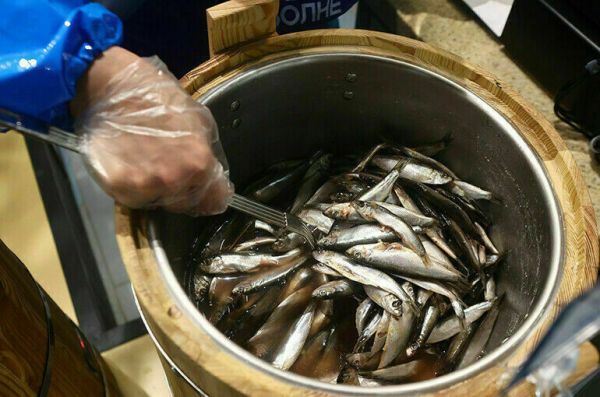 Минсельхоз просит разрешить круглогодичную добычу кильки в Каспийском море