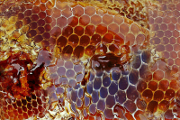 Москвичам спрогнозировали похолодание в выходные