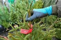 Сенатор Абрамов: Нужны законы для защиты продавцов в рамках интернет-торговли